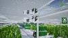 Climate Screens For Glass And Poly Greenhouses By Ridder